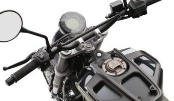 SVARTPILEN 401 lleno